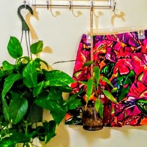 Exotic Tropical Cinch Skirt